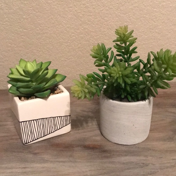 Mini Faux Succulents!